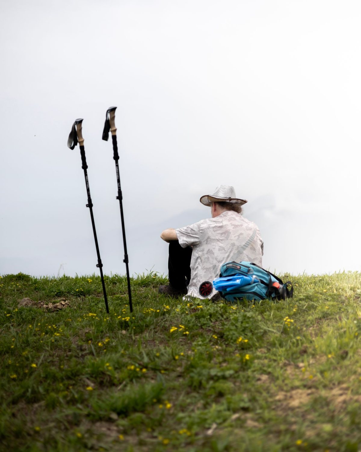 Trekking Baton Çifti