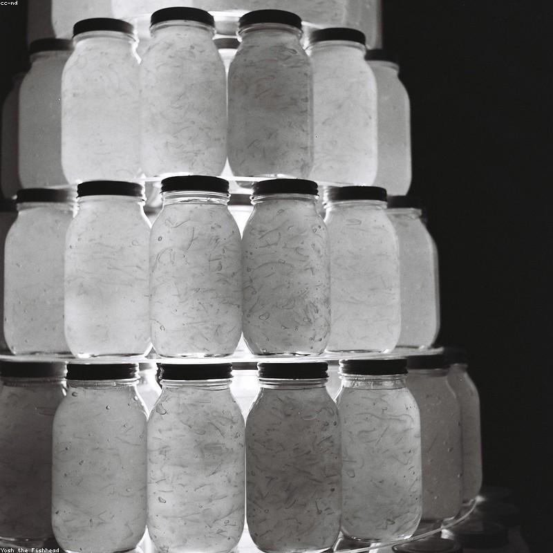 Anadolu Çiçek Balı 850g