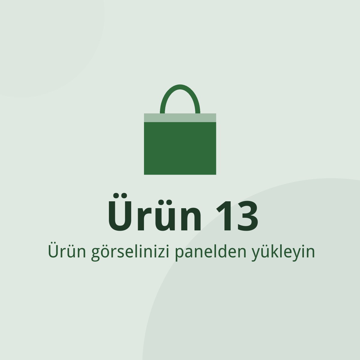 Ürün 13