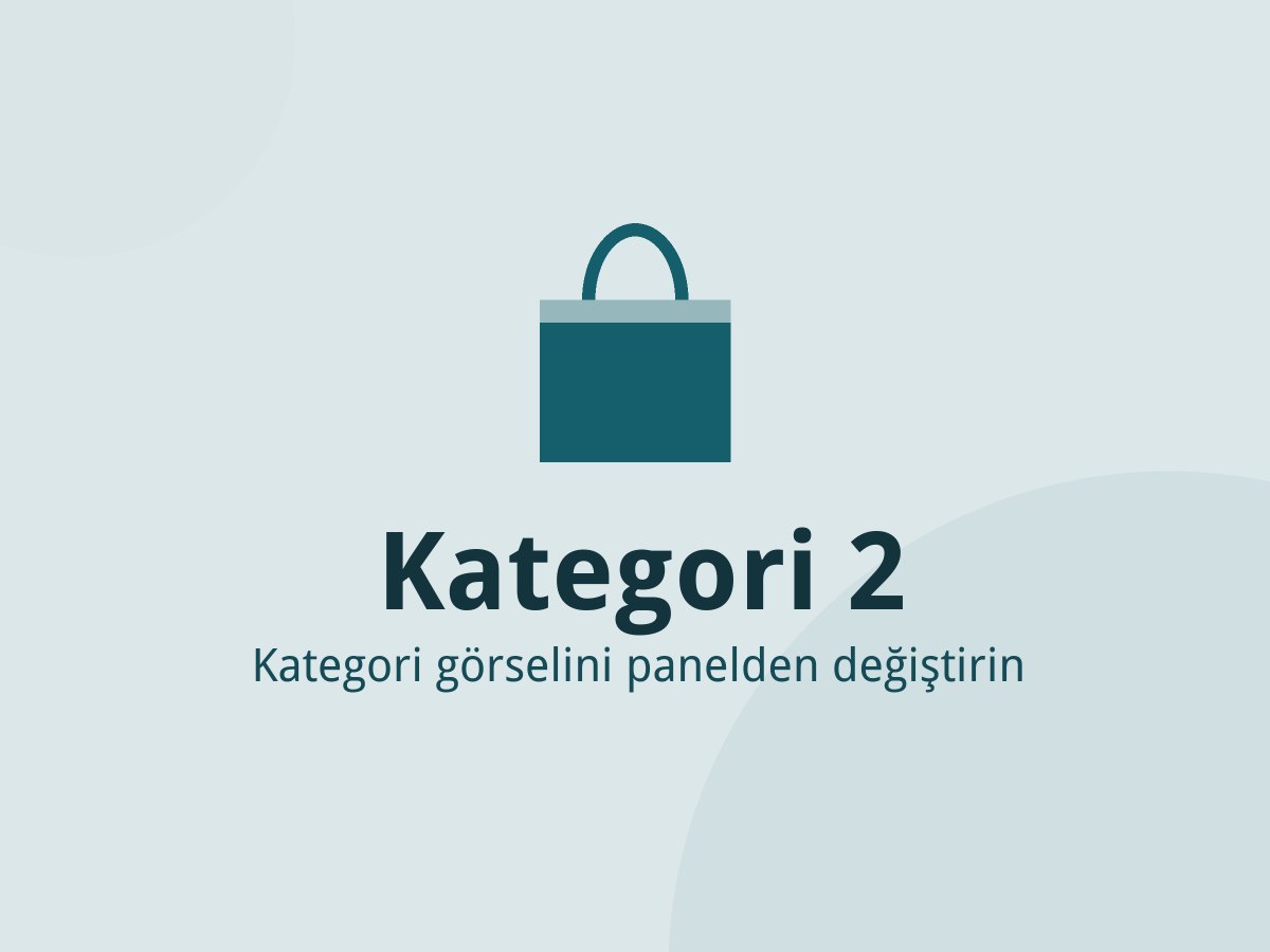 Kategori 2
