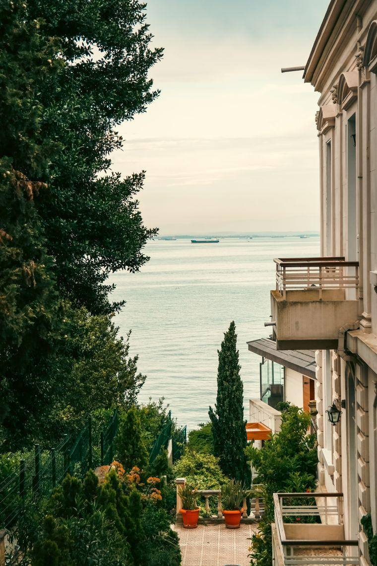 Selvilerin arasından koya bakan balkon