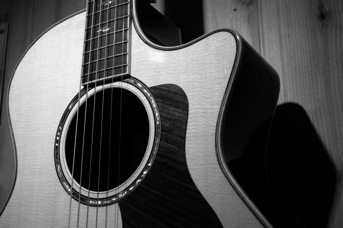 Akustik Gitar Dretnot Masif Kapak