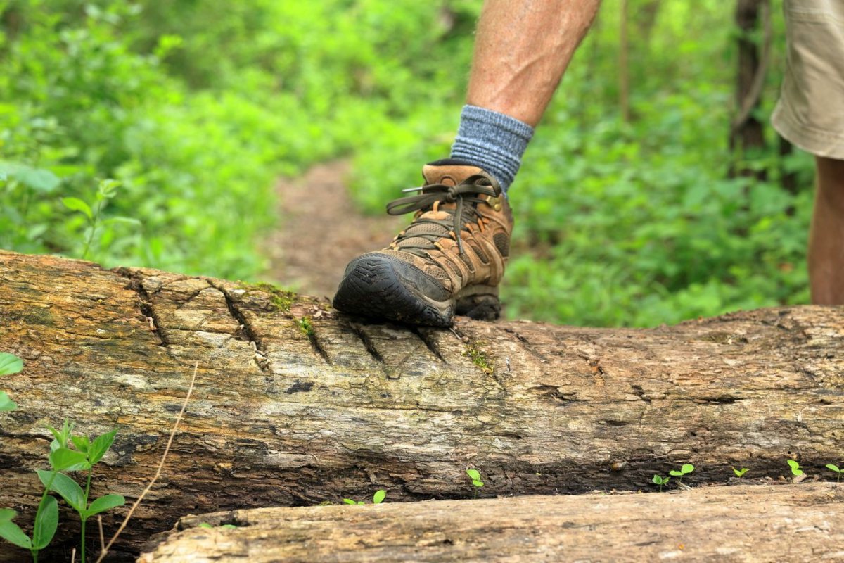 Su Geçirmez Trekking Botu Kahve