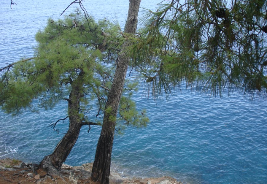 Fethiye – Ölüdeniz Klasik Rota
