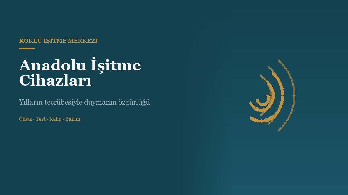 Anadolu İşitme Cihazları web sitesi ana sayfa görünümü