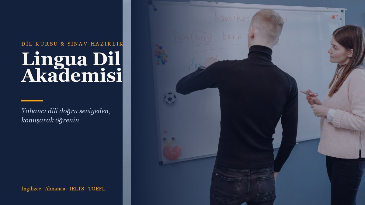 Lingua Dil Akademisi web sitesi kapağı